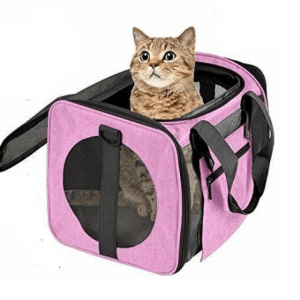 Bolso y transportin para gato